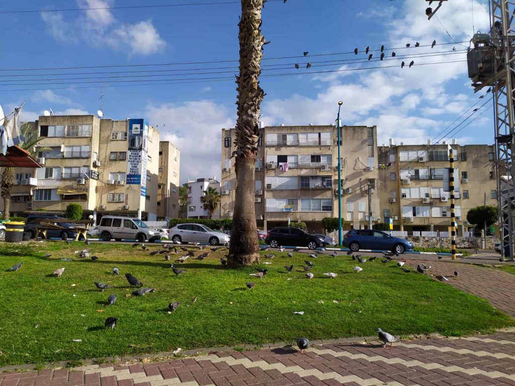 התחדשות עירונית