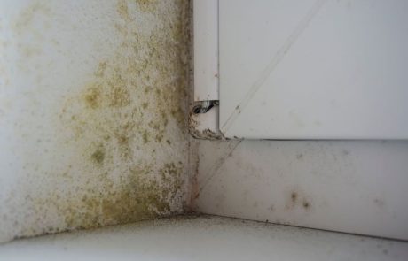 כתם שלא עובר: מה גורם לרטיבות בקיר פנימי ואיך מטפלים בזה נכון?