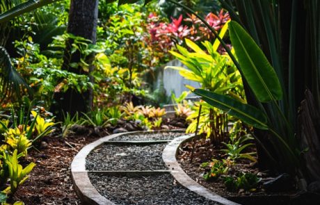 עיצוב גינות בדירת גן: עשה ואל תעשה