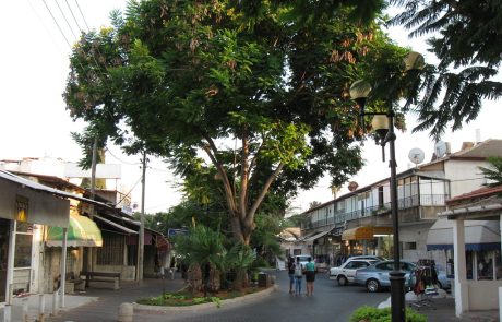 יהוד-מונוסון צפויה להכפיל את עצמה עם 28 אלף יח”ד, מיליון מ”ר תעסוקה ופארק עירוני חדש