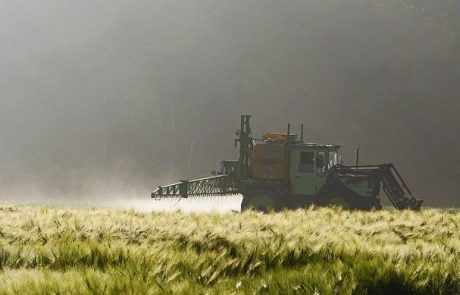 ייתוש או ייתושה?