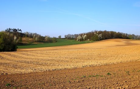 תנועות ההתיישבות נגד הוותמ”ל: “גורם נזק חמור ורחב”